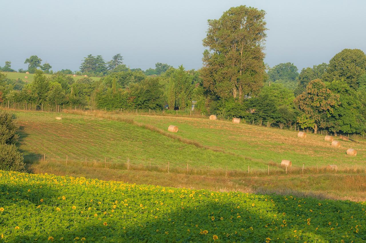 Les Maisons Du Golf D'Armagnac Eauze Luaran gambar